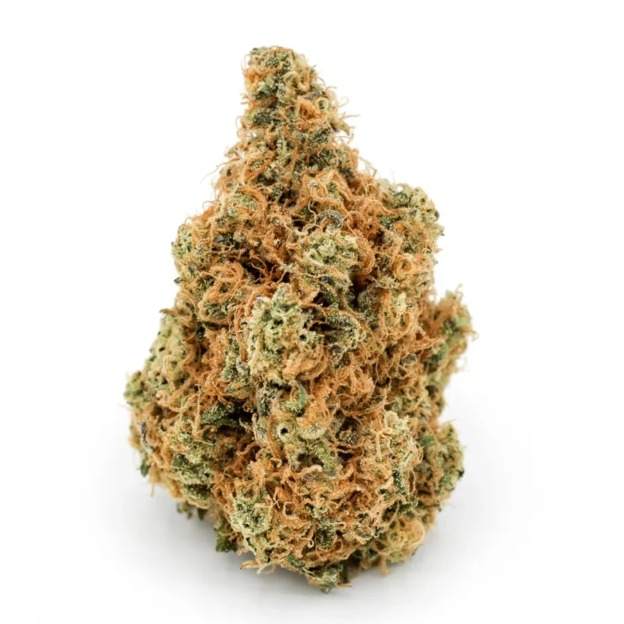 Limon Mandarina — bright citrus sativa hybrid specimen