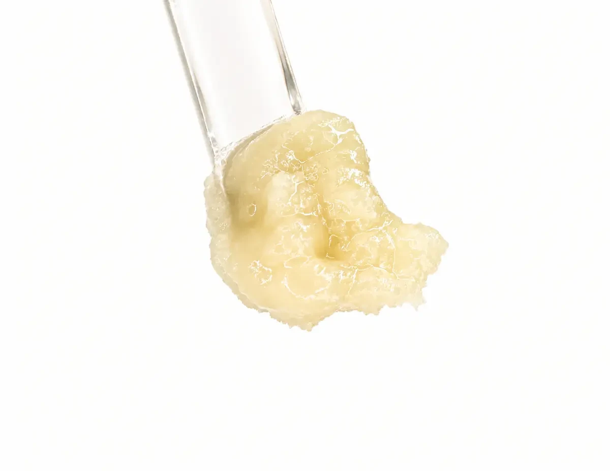 TOO MUCH SHERB rosin specimen